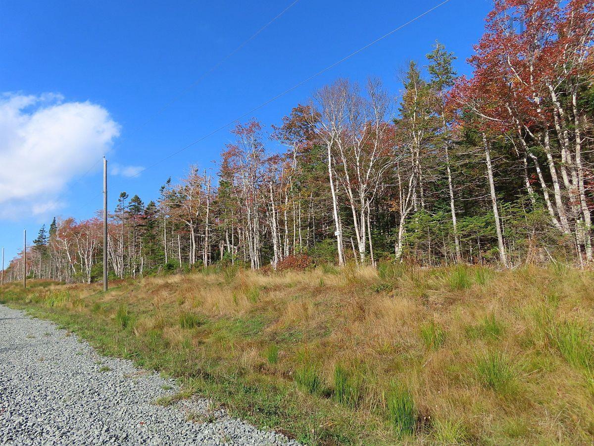 Land in Lennox Passage 4
