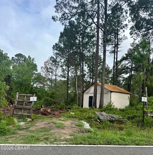 0 Reynolds Rd, De Leon Springs, FL, 32130 | Card Image