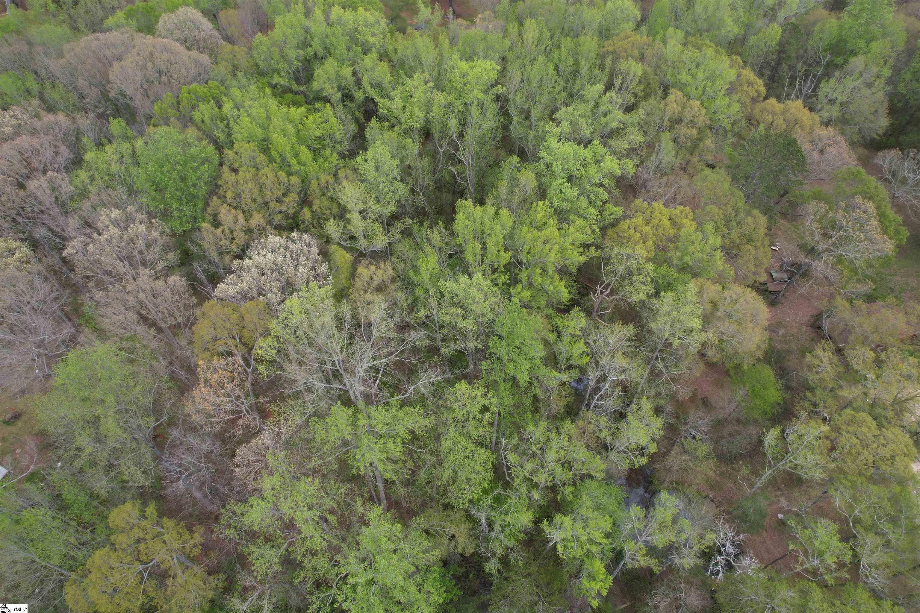 Land in Anderson 3