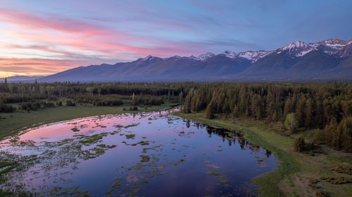 699 Glacier-Elk Creek Rd, Condon, MT, 59826 | Card Image