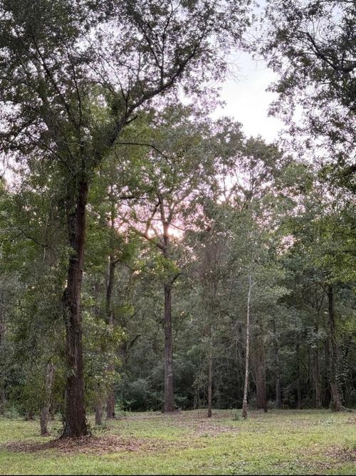 26164 Grand Pines Rd, Magnolia, TX, 77355-2086 | Card Image
