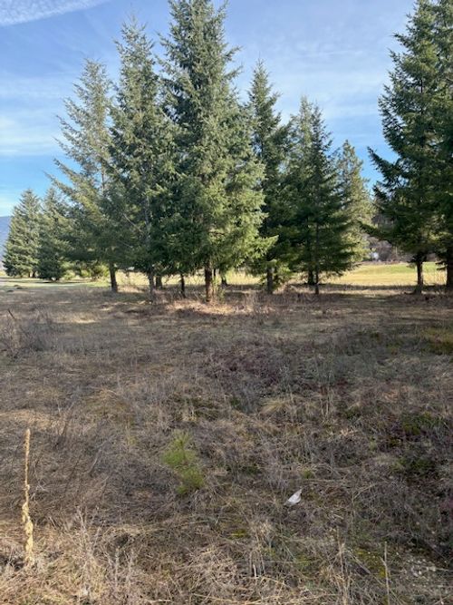 1 Fairview Dr, Saint Regis, MT, 59866 | Card Image