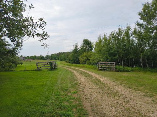 TBD Buckskin Road Ne, Carlos, MN, 56319 | Card Image
