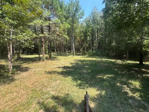 TBD Fm 223 Rd, Shepherd, TX, 77371 | Card Image