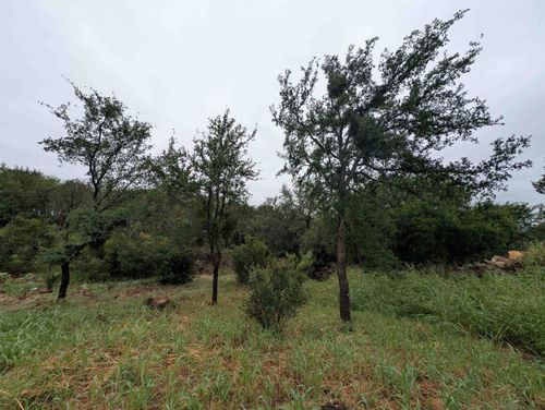 1106 Monterrey Oak Cir, Marble Falls, TX, 78654-4173 | Card Image