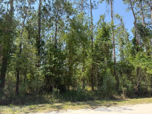 109 White Pine Ln, Georgetown, FL, 32139-2525 | Card Image