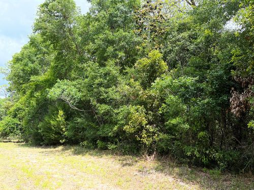 0 Nw 70th Cir, CHIEFLAND, FL, 32626 | Card Image