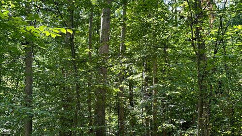 5 Reynolds Rd, Coal City, IN, 47427 | Card Image