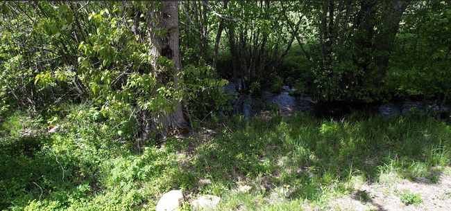 1876 Timber Creek Rd, House other with 8 bedrooms, 6 bathrooms and null parking in Haugan MT | Image 78