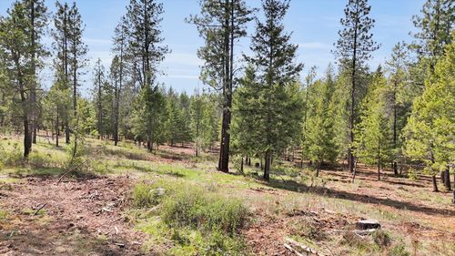 69XX Elk Bluff Ln, Elk, WA, 99009 | Card Image