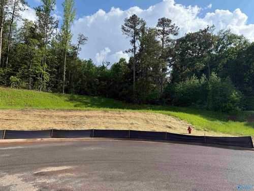 Lot 6 Tumbleweed Dr, Guntersville, AL, 35976-0560 | Card Image