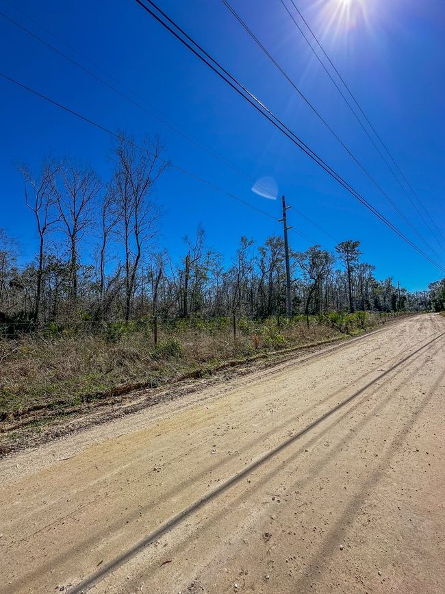 915 Sw 248th Ave, Home with 0 bedrooms, 0 bathrooms and null parking in Steinhatchee FL | Image 11