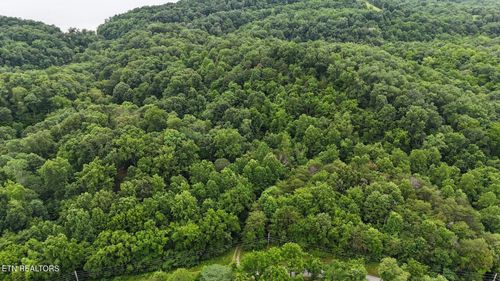 0 Fortunato Dr, White Pine, TN, 37890 | Card Image
