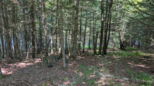 Lot #8 Kolm Ln, Garland, ME, 04939 | Card Image