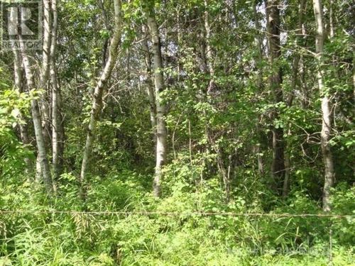 0 Marie Hanson Rd, Brightsand Lake, SK, S0M0H0 | Card Image
