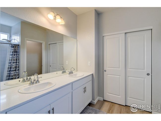 1723 Branching Canopy Dr, House other with 4 bedrooms, 3 bathrooms and null parking in Windsor CO | Image 22