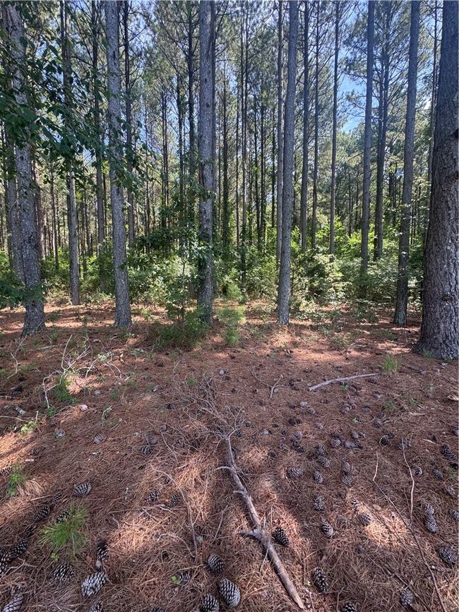 3 Rogers Rd, Home with 0 bedrooms, 0 bathrooms and null parking in Pendleton SC | Image 17
