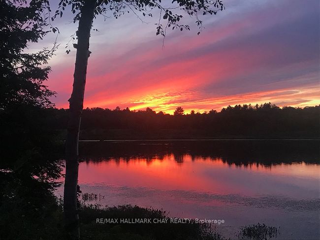 1133 Fire Route A1, Home with 0 bedrooms, 0 bathrooms and 4 parking in Gravenhurst ON | Image 10