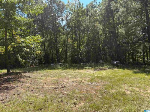 1-0 County Road 341, Maplesville, AL, 36750 | Card Image