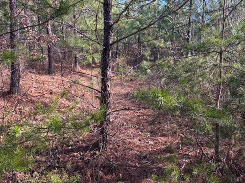 0 Mohawk Rd, Long Island, VA, 24569 | Card Image