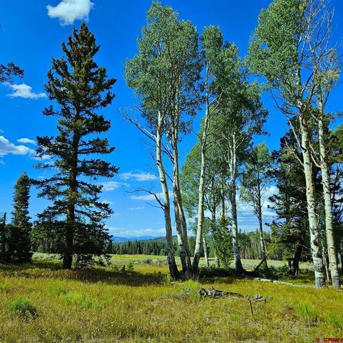 284 Aspen Trl, Cimarron, CO, 81220-9501 | Card Image