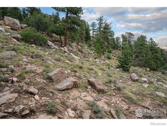 0 Prospect Mountain Dr, Home with 0 bedrooms, 0 bathrooms and null parking in Estes Park CO | Image 5