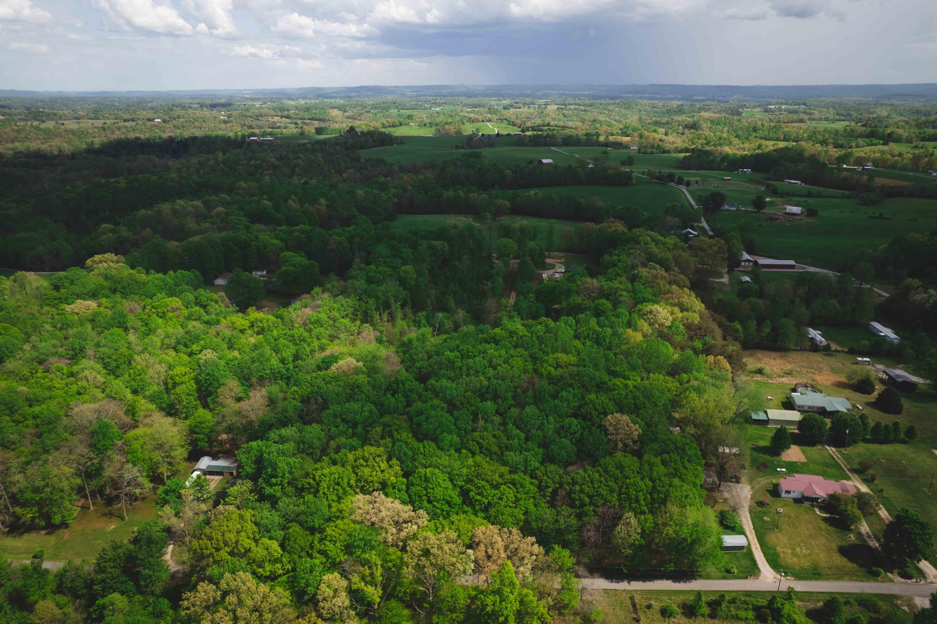 Land in Nancy 2