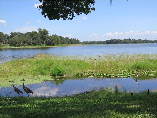 4014 E Lake Park Dr, Hernando, FL, 34442-3148 | Card Image