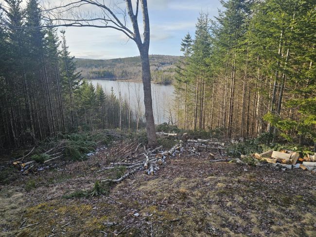 138 Grand Mira South Rd, House other with 3 bedrooms, 1 bathrooms and null parking in Marion Bridge NS | Image 34