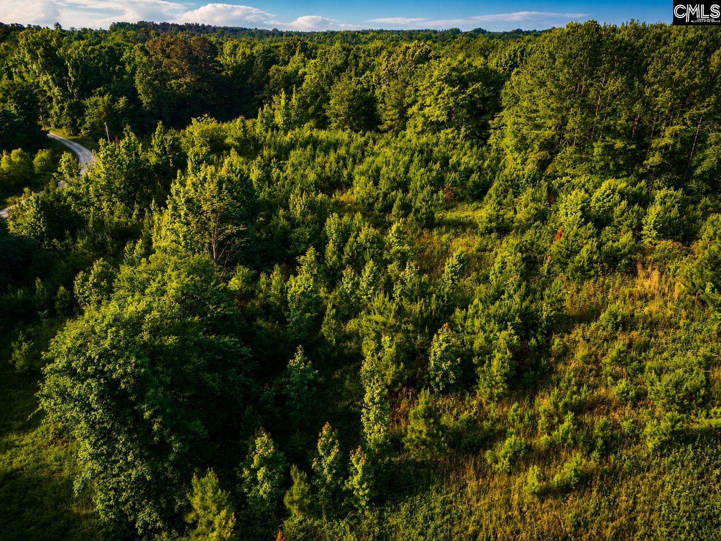 Land in Leesville 2