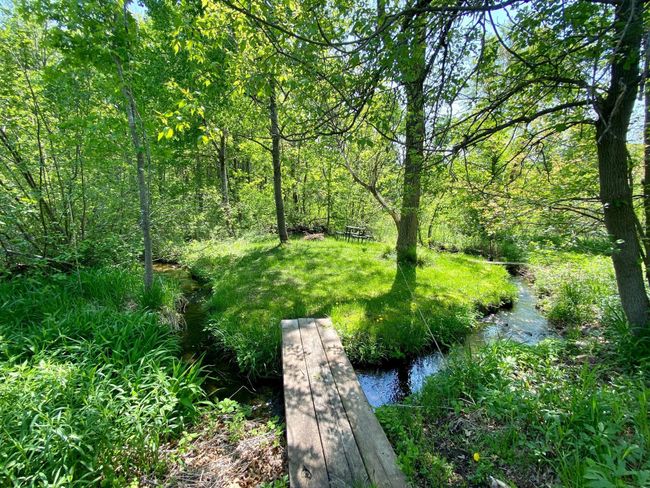 Misner picnic area.jpg | Image 36