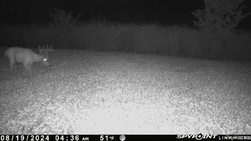 V/L Blake Road, Blackman Charter Township, MI, 49201 | Card Image