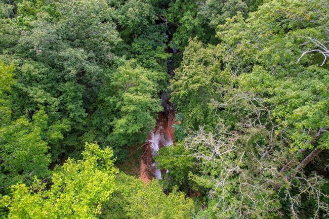 08-109 | Image 8