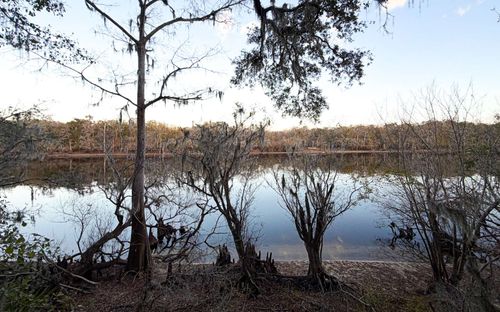 0 Se Earl Blvd, Branford, FL, 32008 | Card Image