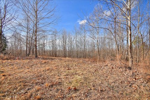 98 Saddleback Drive, Dover, TN, 37058 | Card Image