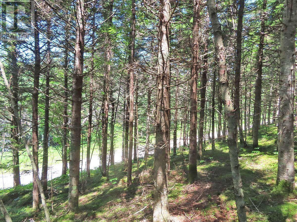 Land in Upper Grand Mira 4