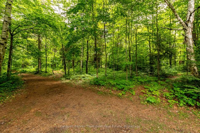 623 Highway 141, House other with 4 bedrooms, 2 bathrooms and 4 parking in Utterson ON | Image 43