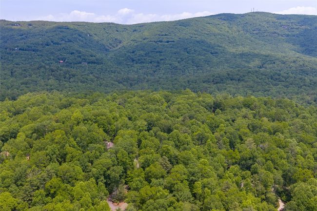 151 Rhododendron Ct, House other with 3 bedrooms, 3 bathrooms and null parking in Sapphire NC | Image 90