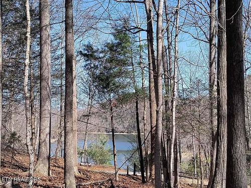 47 S Shorewood Ln, Caryville, TN, 37714 | Card Image