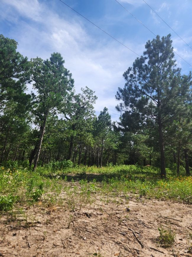 124 Paintbrush Ln, Home with 0 bedrooms, 0 bathrooms and null parking in Bastrop TX | Image 15