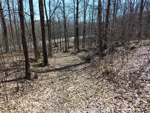 1023 Little Hawk Lake Rd, Algonquin Highlands, ON, K0M1S0 | Card Image