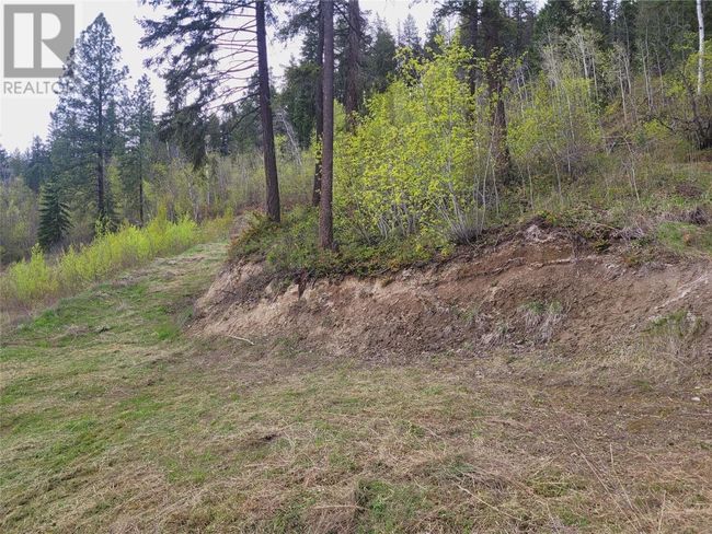 24 - 2481 Squilax Anglemont Rd, Home with 0 bedrooms, 0 bathrooms and null parking in Lee Creek BC | Image 11