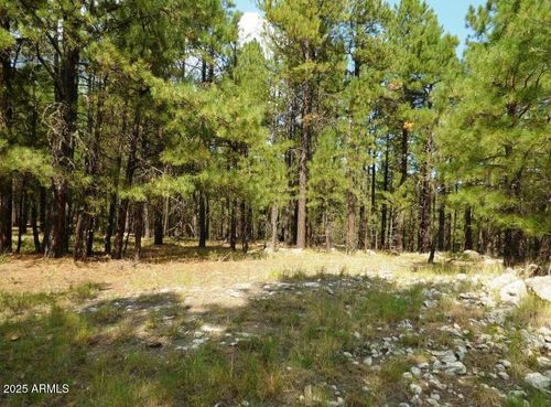 prcl40375003a-5131 Forest Service Rd, Happy Jack, AZ, 86024 | Card Image