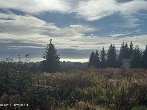 66711 Fry Ct, Homer, AK, 99603-9287 | Card Image