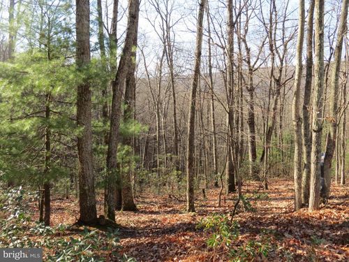 12 Cedarwwood Drive Rd, MATHIAS, WV, 26812 | Card Image