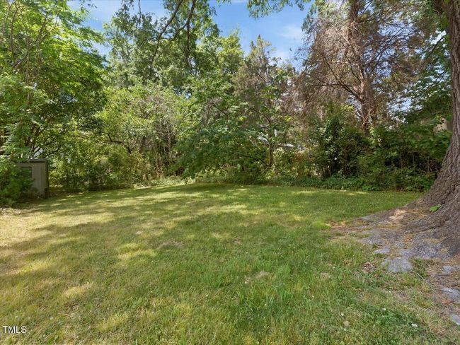 51-Backyard | Image 34