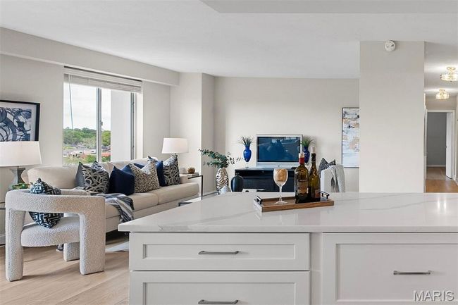 APT-10B - 900 S Hanley Rd, Condo with 2 bedrooms, 2 bathrooms and 1 parking in Clayton MO | Image 9