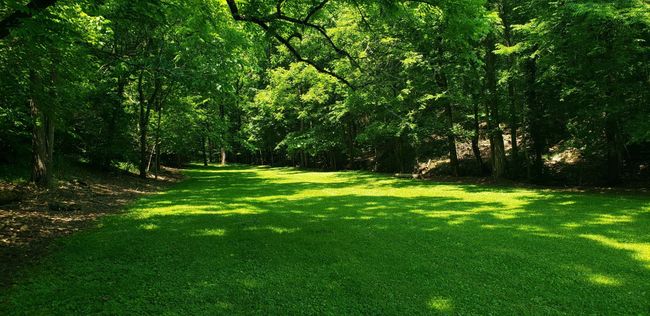 49 Je Sartain Rd, Home with 0 bedrooms, 0 bathrooms and null parking in Manchester TN | Image 29