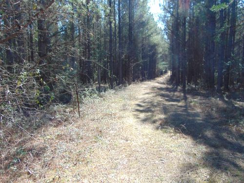 9655 Co Rd 2, Double Springs, AL, 35553-DO | Card Image