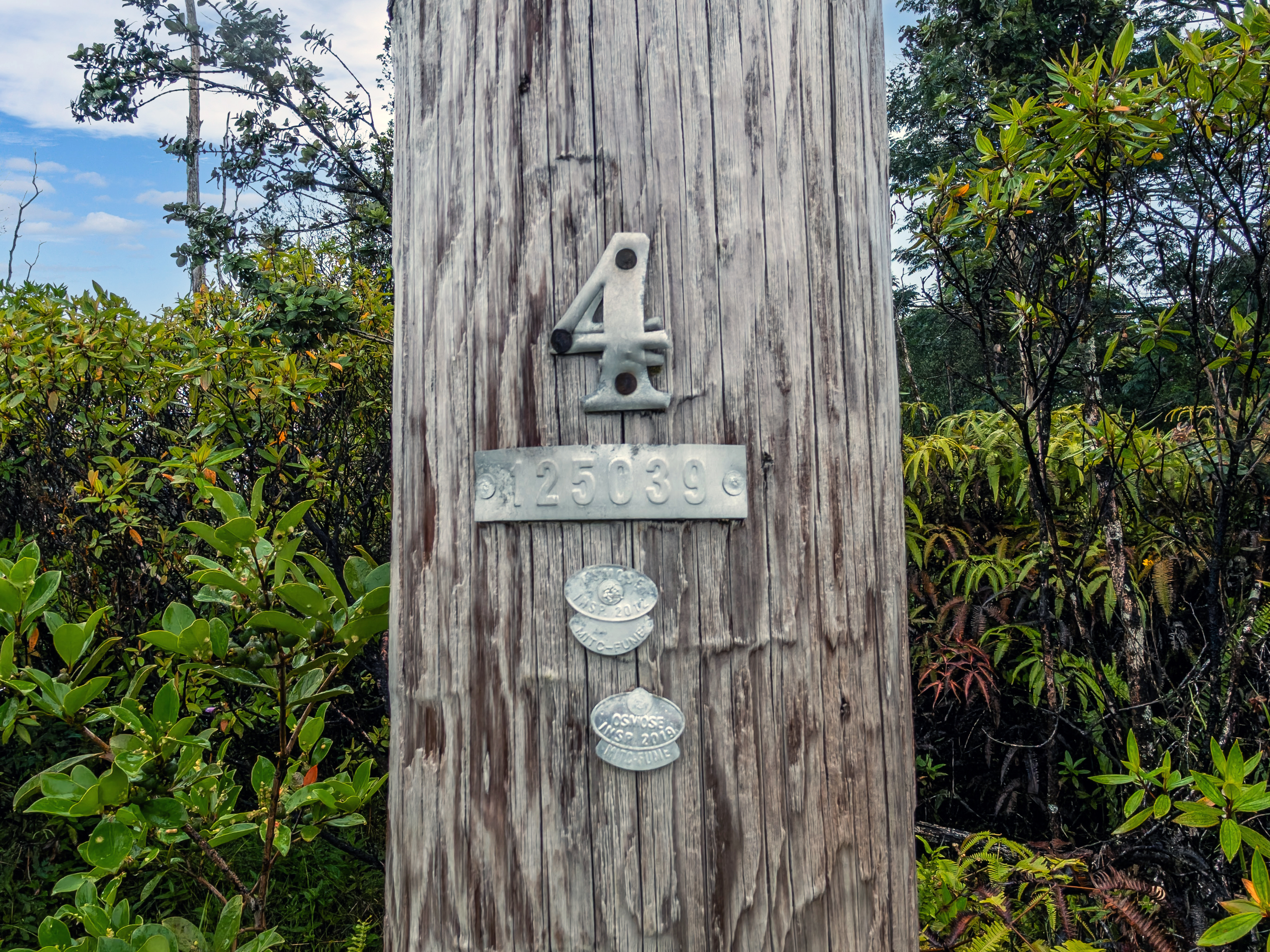 Land in Keaau 4